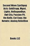 Second Wave Synthpop Acts: Goldfrapp, Mgmt, Lights, Hellogoodbye, Owl City, Passion Pit, the Knife, Cut Copy, the Notwist, Analog Rebellion-