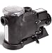 Dragon Series External Pumps 1/4 HP