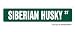SIBERIAN HUSKY - Street Sign - collectable dog lover great gift idea