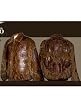 Volcano, * Exotic leather & Fur - Style # HBFCM - All Brown Mink with 7 Gator Inlay