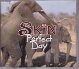 PERFECT DAY CD UK PARLOPHONE 1996