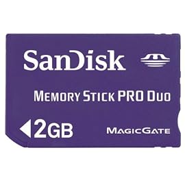 SanDisk MemoryStick Pro Duo 2GB SDMSPD-2048-J61