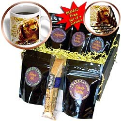 Dogs Irish Setter - Irish Setter Puppy - Coffee Gift Baskets - Coffee Gift Basket by Decaf Espresso Roast