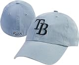 Tampa Bay Devil Rays - Baseball Logo In/Out Magnet MLB Pro Baseball