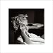 Marilyn Monroe - 16 x 16 Poster
