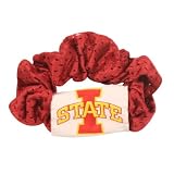 Pittsburgh Penguins Hair Scrunchy / Pony Tail Holder - Pink