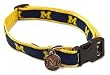 Michigan University NCAA Dog Collar Size Small