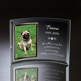 Pet Memorial Curved Glass Vertical 4x6 Photo frame