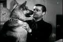 Wild West Film: The Silver Trail (1937) [DVD] Directed By Ray Bernard Jones & Featuring Rin Tin Tin, Roger Williams, Edward Cassidy & Mary Russell