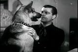 Wild West Film: The Silver Trail (1937) [DVD] Directed By Ray Bernard Jones & Featuring Rin Tin Tin, Roger Williams, Edward Cassidy & Mary Russell