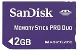 SanDisk 2 GB MemoryStick Pro Duo (SDMSPD-2048-A11, Retail Package)