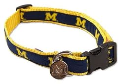 Michigan University NCAA Dog Collar Size M/L