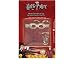 Harry Potter Quidditch Costume Kit