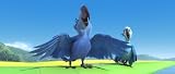Rio (Blu-ray/ DVD Combo + Digital Copy)