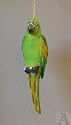 Green Parrot Bird Garden Indoor Outdoor Window Ornament