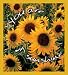 You are my sunshine Bookmark Image