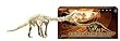 Buki - 487 - Science Et Nature - Squelette G�ant De Diplodocus � Assembler