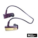 【海外仕様】Sony Headphone-Style Walkman NWZ-W202 (Violet)の画像