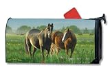 Horses Morning Meadow Magnetic Mailbox Cover - B001BXRQ98