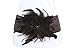 TFJ Women Fashion Wide Elastic Belt Hip High Waist Long Feathers Flower M L XL Brown