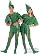 Adult's Peter Pan Costume (Size:Large 36-38)