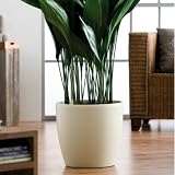 ELHO Blumenübertopf 47,0cm beige mit Rollen BRÜSSEL, Indoor m. Rollen