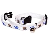 Pet Goods Collegiate 3/8-Inch Cat Safety Collar, University of Kentucky