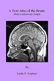 A Text Atlas of the Brain: Made Ludicrously Simple