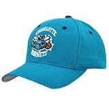 Charlotte Hornets ""Collector"" AMJ46 Turquoise/O/S