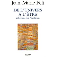 De l'univers � l'�tre : r�flexion sur l'�volution
