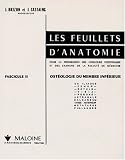 Ostéologie du membre inférieur: Os iliaque, fémur, rotule, tibia, péroné, astragale, calcanéum, tarse antérieur, métatarse, phalanges