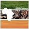Great Contemporary Gospel Music - Part I