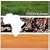 Very Best of Sounds of Blackness