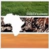 Image of album by Sounds of Blackness