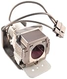 BENQ 5J.01201.001 OEM PROJECTOR LAMP EQUIVALENT WITH HOUSING