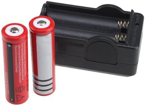 2x 3000mAh 3.7V Rechargeable Battery + Charger