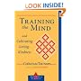 Training the Mind and Cultivating Loving-kindness