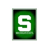 Northwest Michigan State Spartans 48x60 Focus Series Acrylic Triple Woven Blanket Throw