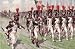 French Emperors Old Guards 1805-1815 (Grenadiers) (41) 1-72 Zvezda