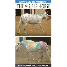 Anatomy in Motion 1: The Visible Horse [VHS]