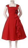 Beautiful New Red Flare Dress 6 (ABC C721)