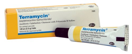 Terramycin Opthalmic Ointment - 1/8 oz