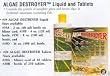 Algae Destroyer Advanced Liquid