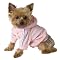 Velour Dog Hoodie- Pink