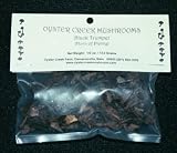 DRIED BLACK TRUMPETS