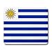 Uruguay Flag Mouse Pad