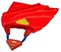 Mattel Superman Electronic Action Cape