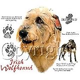 Irish Wolfhound Adult T-Shirt