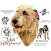 Irish Wolfhound Adult Sweatshirt