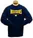 Apparel : Michigan Wolverines Felt Applique Long Sleeve T-Shirt
